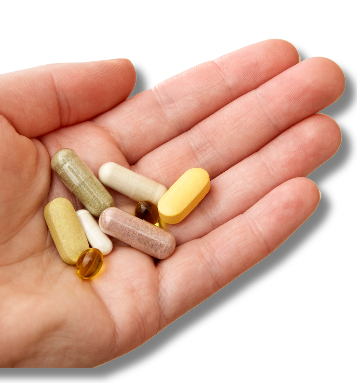 SUPPLEMENT