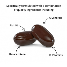 Blackmores Pregnancy & Breastfeeding Gold 60's