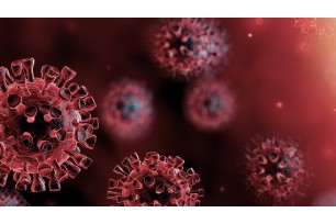 Covid-19 Virus